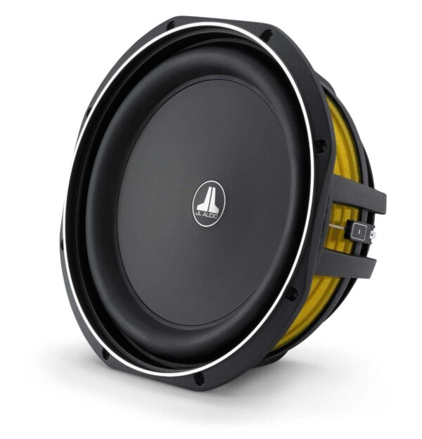 12-inch (300 mm) Subwoofer Driver, 2 ?