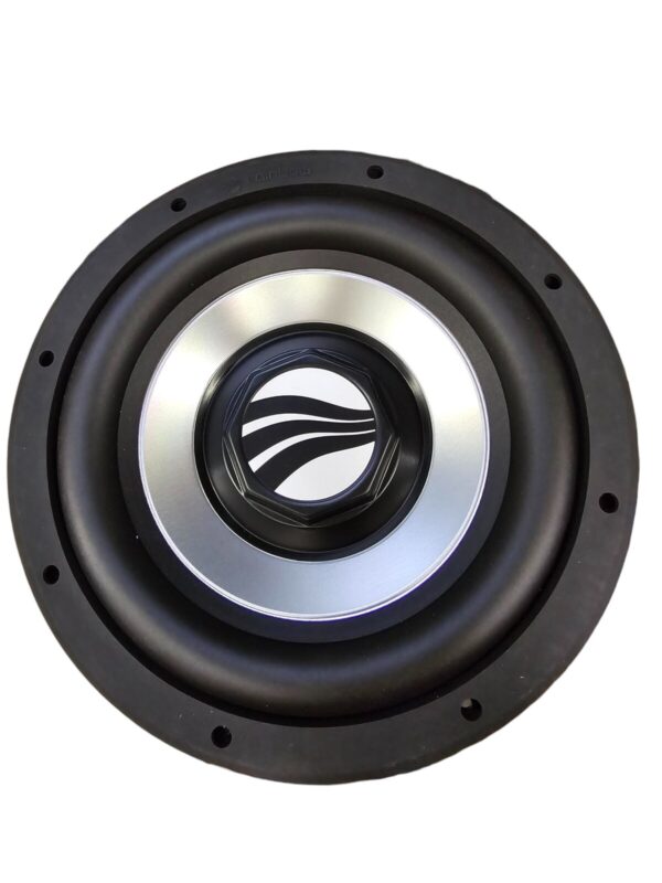 Rainbow 10 "dual voice coil Subwoofer
